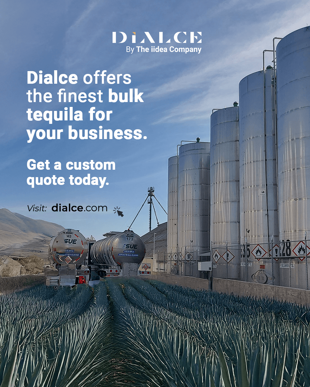 dialces bulk tequila for business (1)